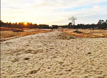 Our 10 favourite hiking points around the Netherlands