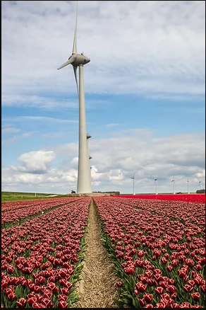 How Environmentally Friendly are the Dutch?