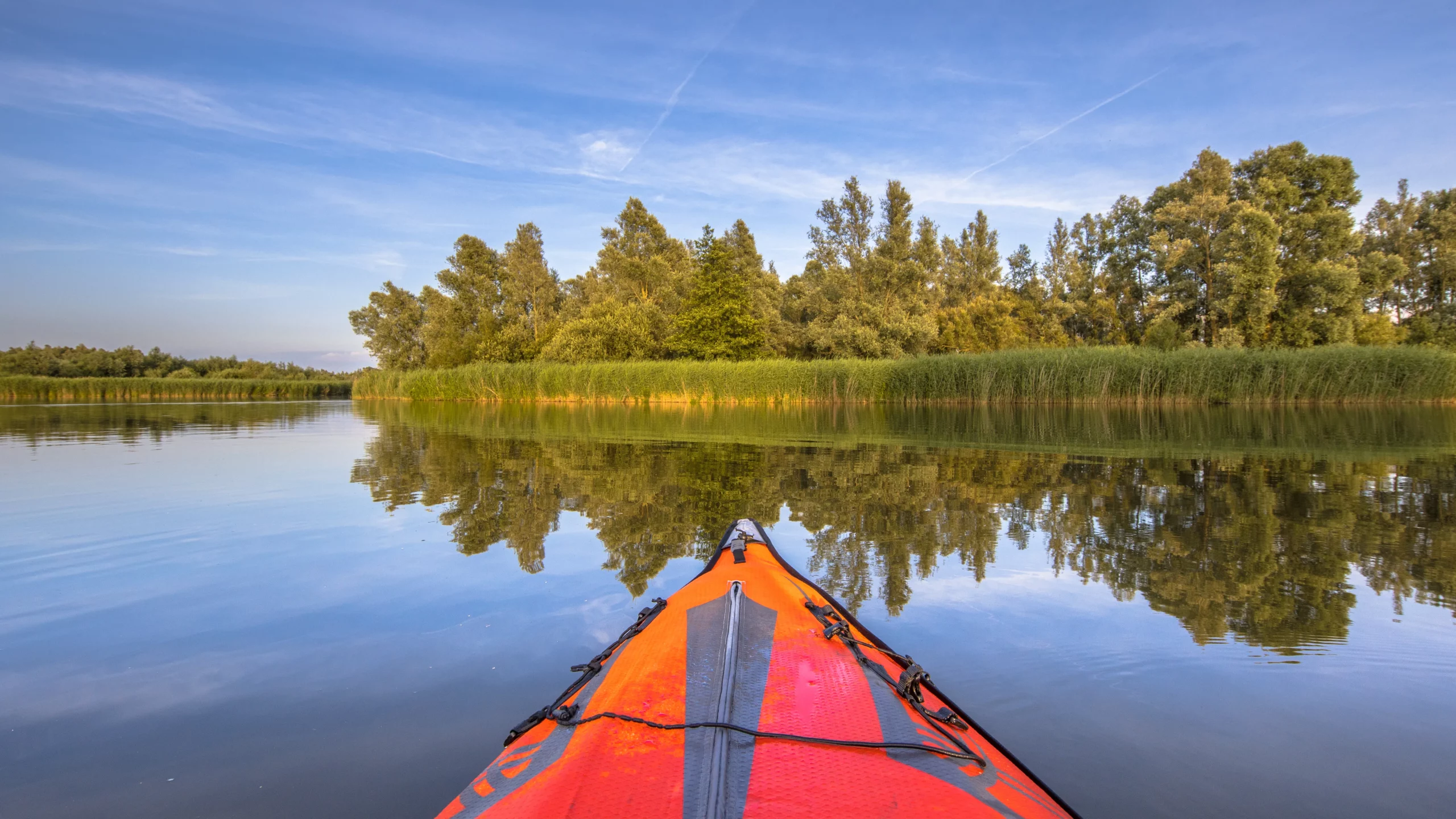 National Park De Biesbosch