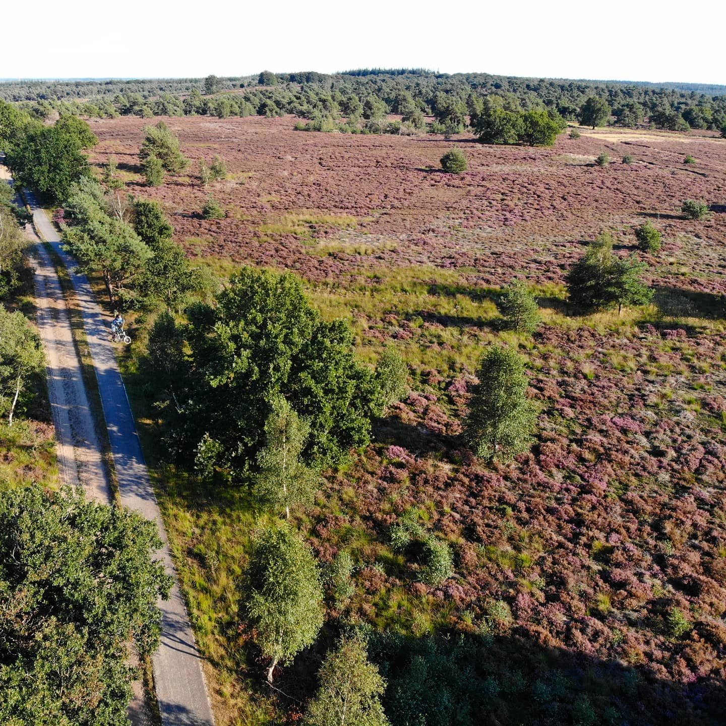Nationale Park Sallandse Heuvelrug