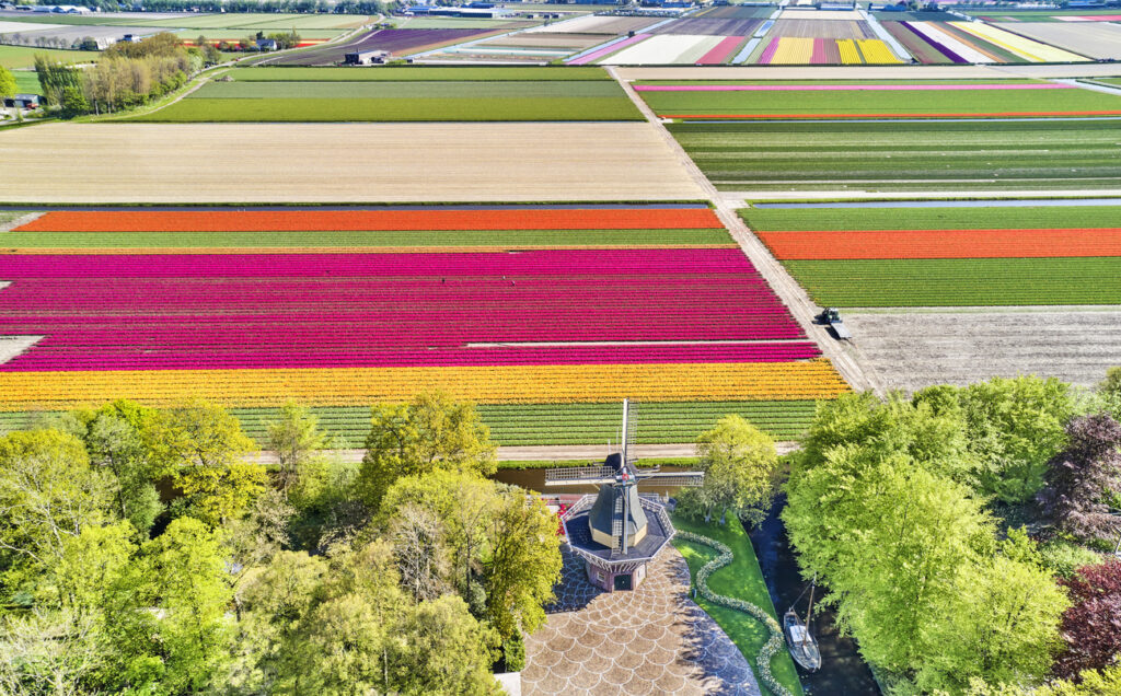 Why netherlands is flat