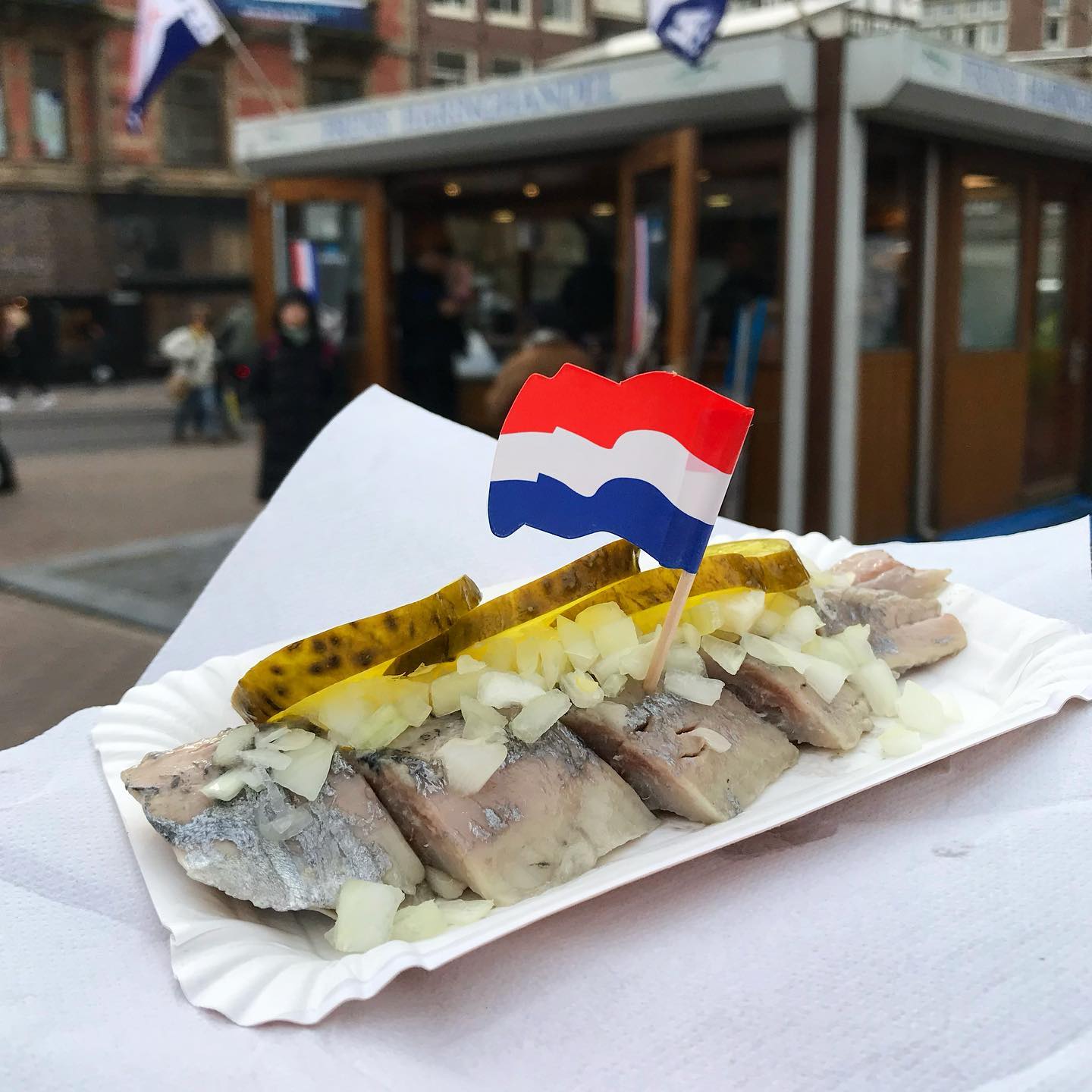 Everything You Need To Know About Dutch Herring