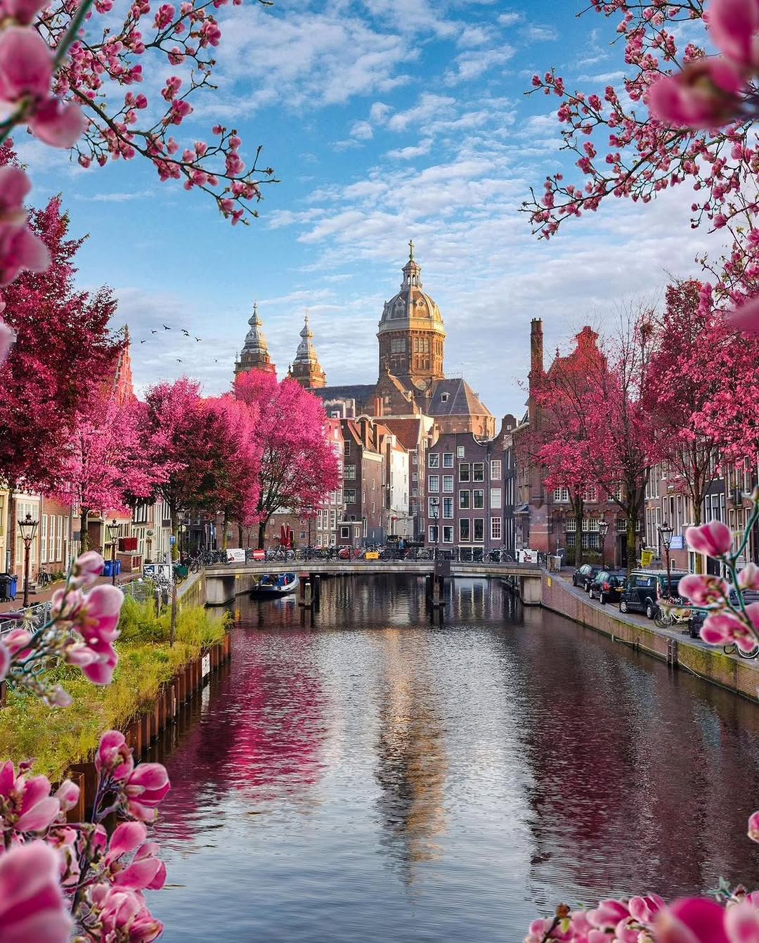 Spring Start in the Netherlands